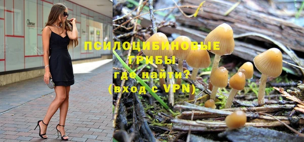 трава Абаза