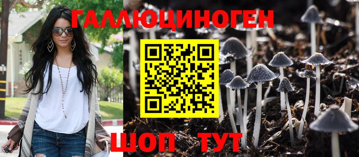 Красный Сулин  Псилоцибиновые грибы мухоморы  Вход с VPN 