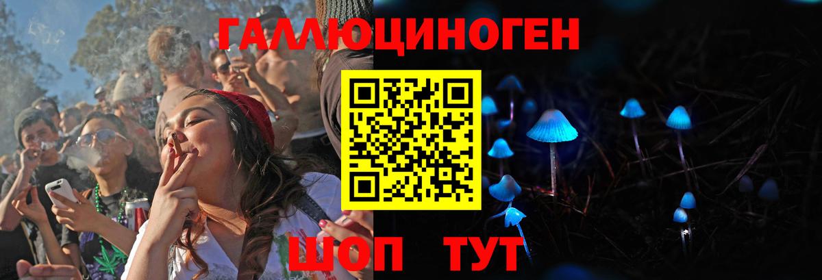 Псилоцибиновые грибы GOLDEN TEACHER Красный Сулин